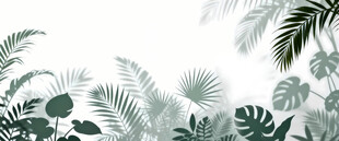 雾气磨砂膜效果绿植贴图