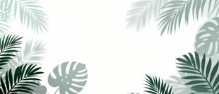 雾气磨砂膜效果绿植贴图