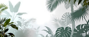 雾气磨砂膜效果绿植贴图