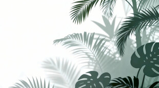 雾气磨砂膜效果绿植贴图