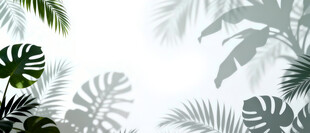 雾气磨砂膜效果绿植贴图