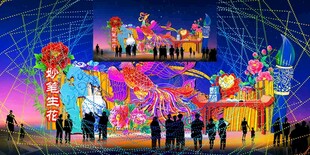 凤凰花灯彩灯