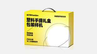 塑料手提礼盒样机
