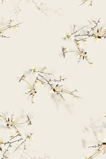 简约树枝花卉纹理背景图