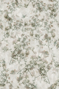 淡雅植物纹理图案背景