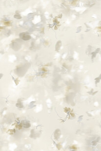 白色花瓣纹理背景图案