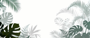 雾气磨砂膜效果绿植贴图