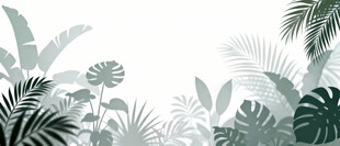 雾气磨砂膜效果绿植贴图