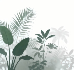 雾气磨砂膜效果绿植贴图