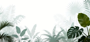 雾气磨砂膜效果绿植贴图