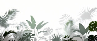 雾气磨砂膜效果绿植贴图