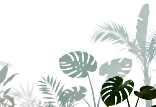 雾气磨砂膜效果绿植贴图