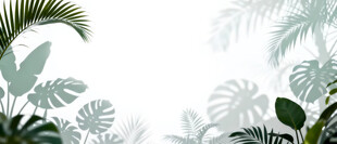 雾气磨砂膜效果绿植贴图