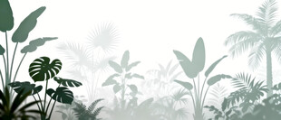 雾气磨砂膜效果绿植贴图