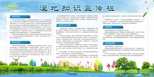 世界湿地日宣传栏