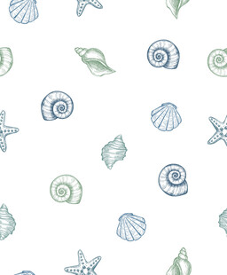海洋贝壳海星图案背景