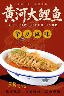 黄河大鲤鱼 