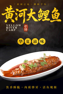 黄河大鲤鱼 