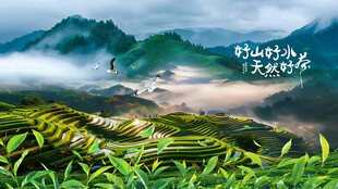 茶园
