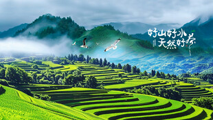 茶山梯田