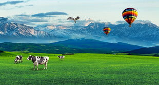 草原雪山风景画