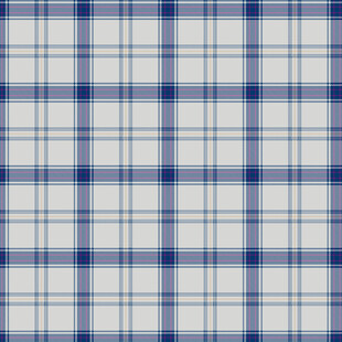 蓝白格子纹理图案