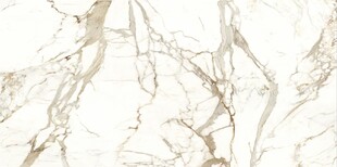 白色鱼肚金大理石石纹