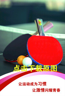 专业乒乓球拍及乒乓球
