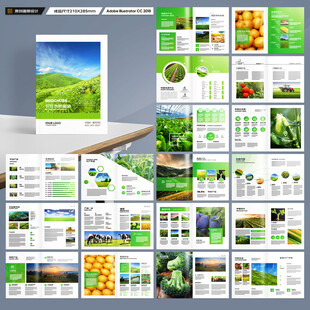 农产品宣传册