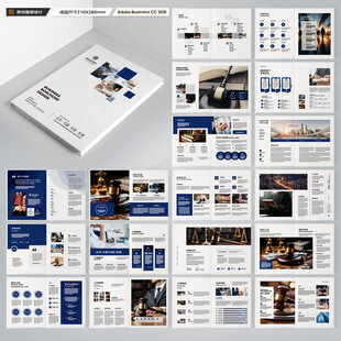 大气律师事务所画册