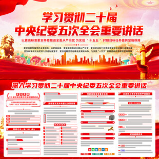 中央纪委五次全会重要讲话