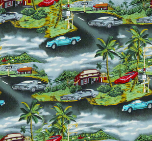 热带公路上的多彩汽车景观