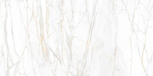 白色鱼肚金大理石石纹