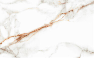 白色鱼肚金大理石石纹