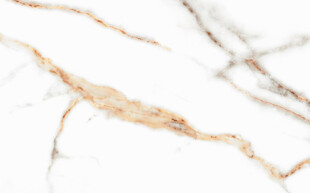 白色鱼肚金大理石石纹