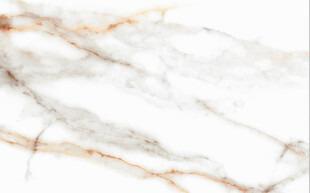 白色鱼肚金大理石石纹