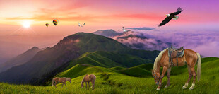 武功山高山草甸