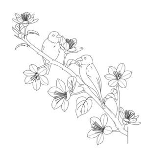 花鸟工笔线描图 矢量图