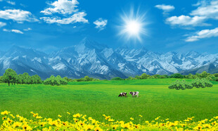 蓝天白云大草原