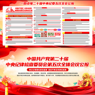 二十届中央纪委五次全会公报