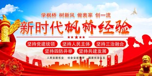 新时代领航经验宣传海报