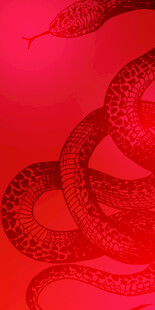 红色盘绕蛇形图案