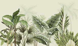 热带雨林壁画壁纸