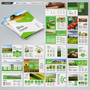农产品宣传册