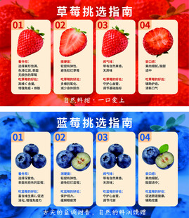 草莓蓝莓挑选指南