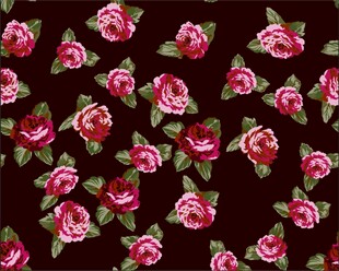 玫瑰花卉图案背景纹理