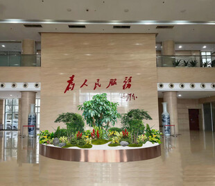 室内植物租摆效果图