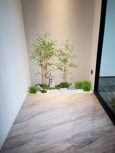 室内景观设计效果图