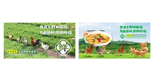 田园走地土鸡海报