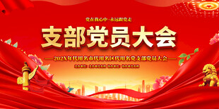 支部党员大会宣传展板